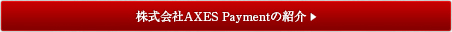 株式会社AXES Paymentの紹介