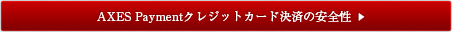 AXES Paymentクレジットカード決済の安全性